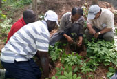 Forestry aid reaches out across Asia, Africa