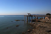 Surround yourself with nature on Daebudo Island