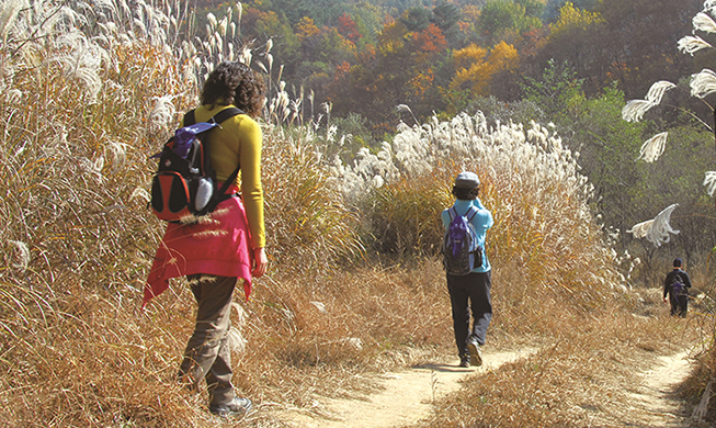 Olympic hiking trail traces 2018 PyeongChang Games