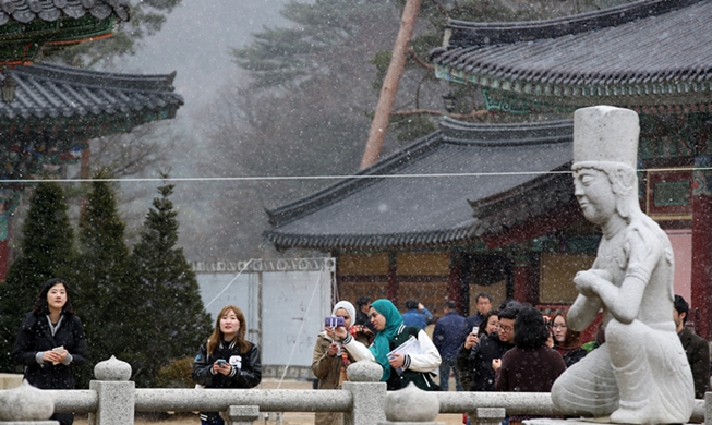 Time for a walk across Gangwon