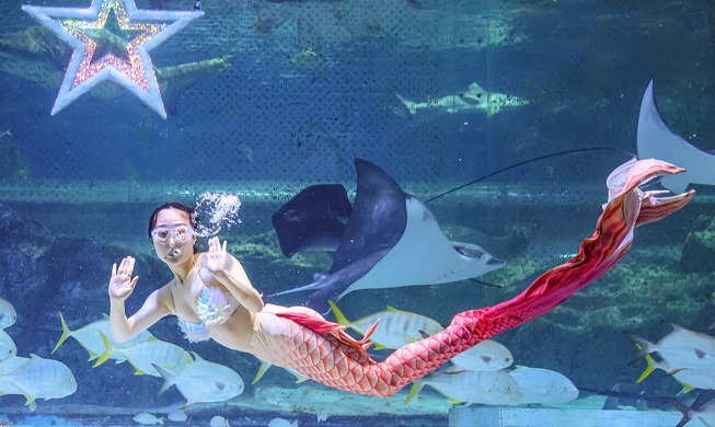 'Beautiful mermaid waves at aquarium'