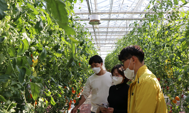 Korea Seed Expo to promote top domestic varieties to world