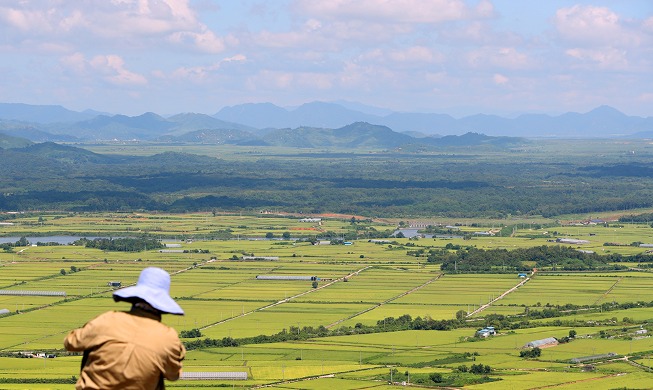 Plain of northern county turns yellow to signal fall's arrival