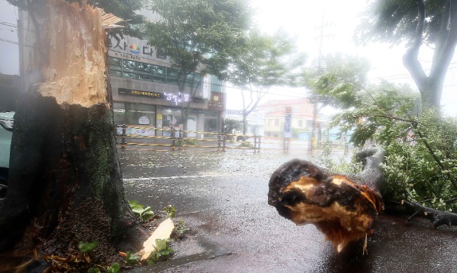 Typhoon Bavi passes with no casualties reported