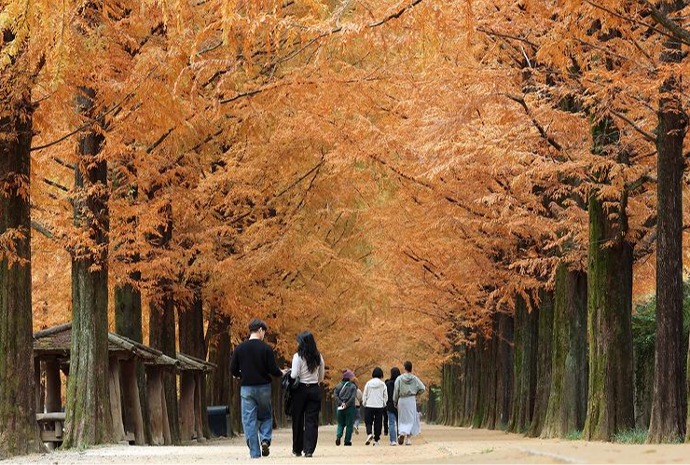 Peak of fall foliage